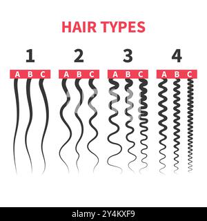 Tabella dettagliata dei tipi di capelli serie di modelli di crescita dei fili Illustrazione Vettoriale