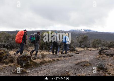 Fai un'escursione lungo il percorso di Lemosho sulla strada per la cima del monte Kilimanjaro. Foto Stock