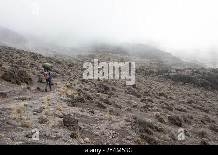 Fai un'escursione lungo il percorso di Lemosho sulla strada per la cima del monte Kilimanjaro. Foto Stock