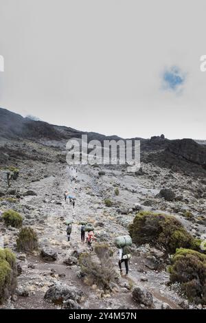 Fai un'escursione lungo il percorso di Lemosho sulla strada per la cima del monte Kilimanjaro. Foto Stock