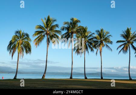 Port Douglas, Queensland, Australia. Rex Smeal Park nella destinazione turistica tropicale Port Douglas nel Queensland settentrionale. Foto Stock