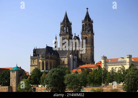 Cattedrale gotica con guglie gemelle in fase di ristrutturazione a Magdeburgo, affacciata sul paesaggio urbano e sull'area storica. Foto Stock