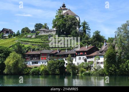 Werdenberg, Svizzera - 14 luglio 2024: Veduta al villaggio di Werdenberg sulla Svizzera Foto Stock