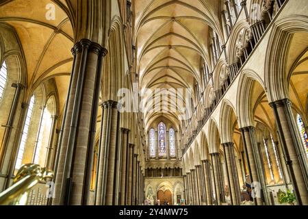 Gli splendidi interni della Cattedrale di Salisbury, Wiltshire, Inghilterra Foto Stock