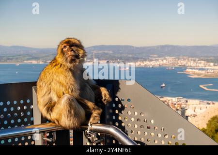 Splendida vista panoramica della scimmia dalla Gibilterra Skywalk, sulla costa meridionale della Spagna, Regno Unito Foto Stock