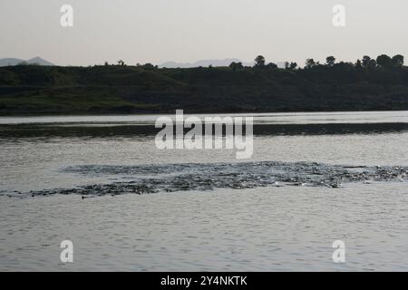 Navagam, Gujarat / India - 14 novembre 2007: Vista lago vicino alla diga di Sardar Sarovar. Foto Stock