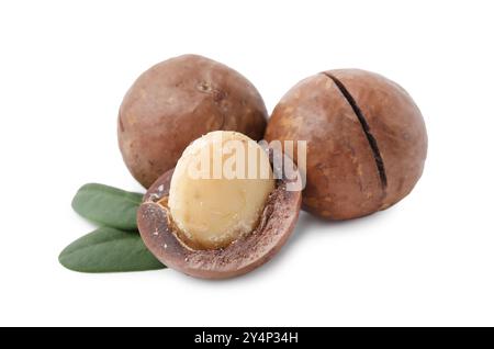 Noci di macadamia con gusci isolati su bianco Foto Stock