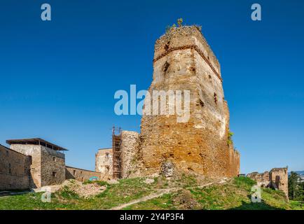 Donjon al castello di Zborovsky, XIII secolo, nella zona di Šariš, Low Beskids, Carpazi occidentali, regione di Presov, Slovacchia Foto Stock