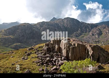 Snodwonia (Eryri), Galles del Nord Foto Stock