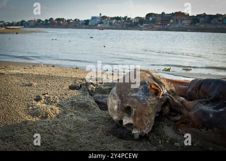 Piogge monsoniche, pellegrini e rituali di cremazione lungo il fiume Gange sono visti nella città Santa di Varanasi in India Foto Stock