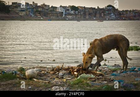 Piogge monsoniche, pellegrini e rituali di cremazione lungo il fiume Gange sono visti nella città Santa di Varanasi in India Foto Stock