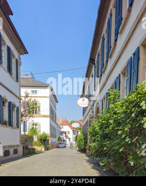 Schöne Orte in der Pfalz an der Weinstrasse 18.09.24: Forst an der Weinstrasse Pfalz Deutschland *** luoghi meravigliosi del Palatinato sulla strada del vino 18 09 24 Forst an der Weinstrasse Pfalz Germania 20240918 124400 Foto Stock