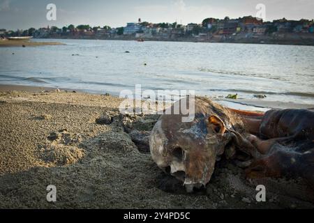 Piogge monsoniche, pellegrini e rituali di cremazione lungo il fiume Gange sono visti nella città Santa di Varanasi in India Foto Stock