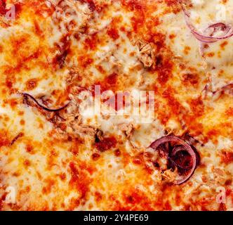 Primo piano della pizza al tonno al forno Foto Stock