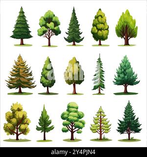 Insieme di vettori di alberi sempreverdi della foresta. Illustrazioni del bosco di conifere Illustrazione Vettoriale