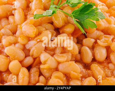 Fagioli bolliti con pomodoro e spezie da vicino Foto Stock