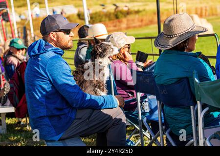 Gli spettatori guardano le prove del Meeker Classic Sheepdog Championship; Meeker: Colorado; USA Foto Stock