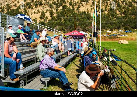 Gli spettatori guardano le prove del Meeker Classic Sheepdog Championship; Meeker: Colorado; USA Foto Stock