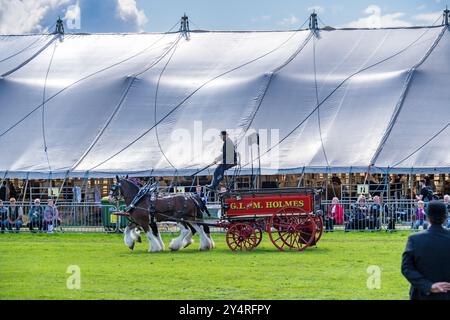 Westmorland County Show Cumbria celebra il meglio della vita rurale, bestiame, cani, pecore, macchinari e prodotti locali. Westmorlland County Agricultural Foto Stock