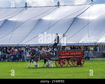 Westmorland County Show Cumbria celebra il meglio della vita rurale, bestiame, cani, pecore, macchinari e prodotti locali. Westmorlland County Agricultural Foto Stock