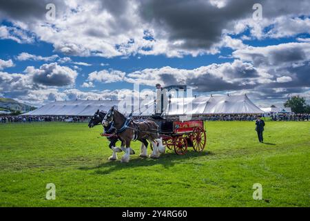 Westmorland County Show Cumbria celebra il meglio della vita rurale, bestiame, cani, pecore, macchinari e prodotti locali. Westmorlland County Agricultural Foto Stock