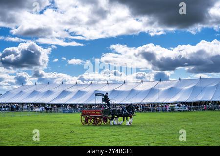 Westmorland County Show Cumbria celebra il meglio della vita rurale, bestiame, cani, pecore, macchinari e prodotti locali. Westmorlland County Agricultural Foto Stock