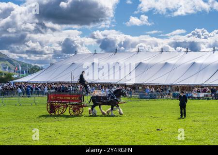 Westmorland County Show Cumbria celebra il meglio della vita rurale, bestiame, cani, pecore, macchinari e prodotti locali. Westmorlland County Agricultural Foto Stock