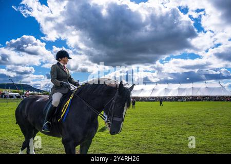 Westmorland County Show Cumbria celebra il meglio della vita rurale, bestiame, cani, pecore, macchinari e prodotti locali. Westmorlland County Agricultural Foto Stock