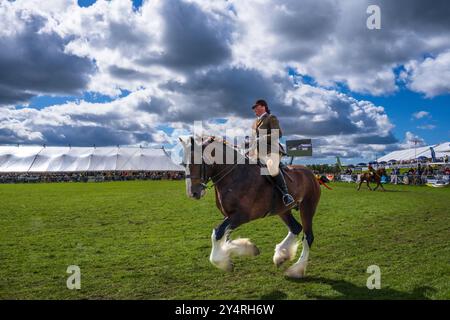 Westmorland County Show Cumbria celebra il meglio della vita rurale, bestiame, cani, pecore, macchinari e prodotti locali. Westmorlland County Agricultural Foto Stock