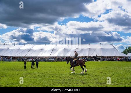 Westmorland County Show Cumbria celebra il meglio della vita rurale, bestiame, cani, pecore, macchinari e prodotti locali. Westmorlland County Agricultural Foto Stock