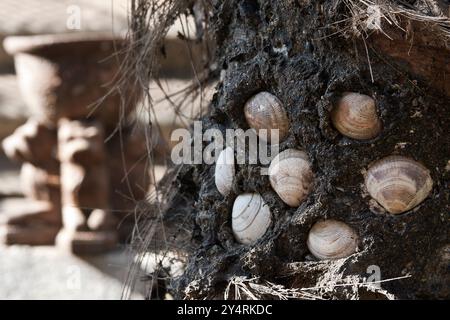 Worli Koliwada, Maharashtra / India - 17 febbraio 2008 : nel villaggio di Koliwada, le conchiglie di mare sono bloccate sui tronchi di alberi con sterco di mucca. Foto Stock