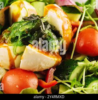 Insalata di burrata con alghe, cetrioli e pomodori Foto Stock