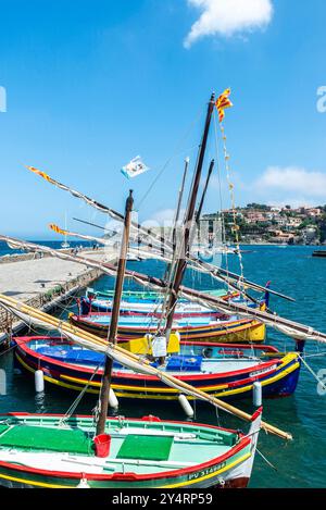 Collioure, Francia - 17 giugno 2024: Colorate barche da pesca nel porto di Collioure o Cotlliure, villaggio di pescatori in Francia Foto Stock