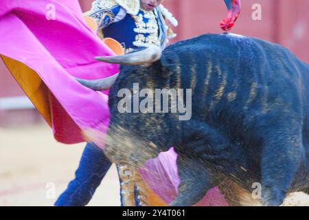 Siviglia, Spagna, 15 agosto 2008, Fernández Pineda accoglie sapientemente il toro con un mantello al Real Maestranza di Siviglia, mostrando il tradizionale toro Foto Stock