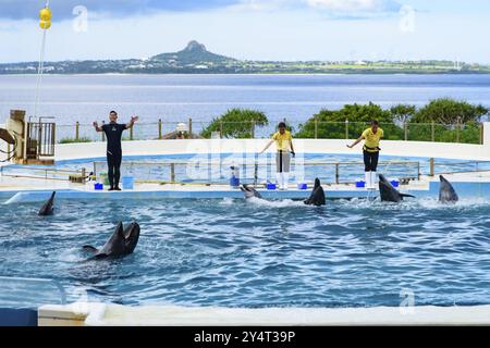 Spettacolo di delfini (teatro Okichan) nell'acquario Churaumi di Okinawa Foto Stock