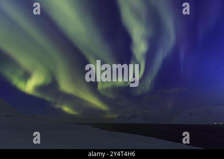 Aurora boreale gialla e verde su montagne innevate, fiordo, aurora boreale, inverno, Snaefellsnes, Islanda, Europa Foto Stock