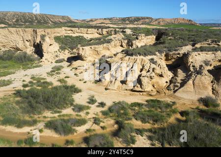 Paesaggio di canyon rocciosi con vegetazione sparsa in un deserto asciutto e soleggiato, parco naturale Bardenas Reales, deserto, semi-deserto, Navarra, Nafarroa, biografia dell'UNESCO Foto Stock