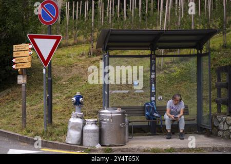 Donna anziana, migliore anziana, con zaino, seduta alla fermata dell'autobus, uso di smartphone, telefono cellulare, fermata dell'autobus, stazione, lattine di latte, contenitore del latte, traffico, S Foto Stock