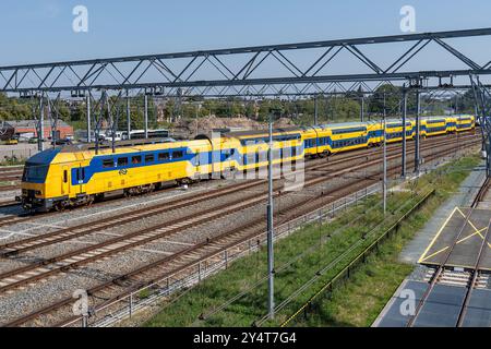 Nederlandse Spoorwegen DDZ treno interurbano alla stazione di Zwolle Foto Stock