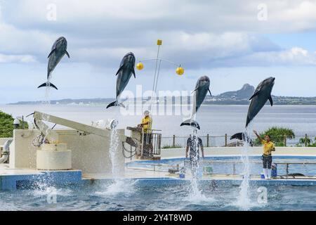 Spettacolo di delfini (teatro Okichan) nell'acquario Churaumi di Okinawa Foto Stock