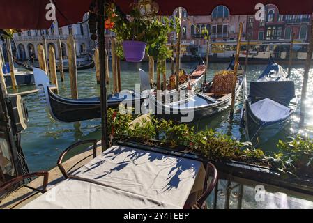 Vista del Canal grande, del Ponte di Rialto e delle gondole dai posti a sedere dei ristoranti all'aperto, Venezia, Italia, Europa Foto Stock