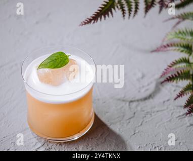 Elegante cocktail di arancia adornato da una foglia di menta, accanto alle foglie di felce su una superficie ruvida Foto Stock