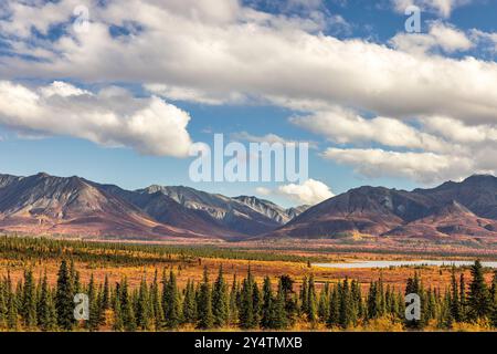 I colori autunnali di picco adornano il passo Tahneta nell'Alaska centro-meridionale. Foto Stock