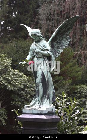 Una statua bruna di un angelo, che posa una rosa. Si trova sul terreno del cimitero di Ohlsdorf, Amburgo, Germania, girato nel 2014 Foto Stock