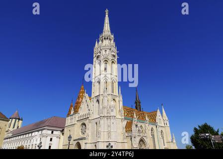 Chiesa di Mattia, chiesa cattolica situata nella Piazza della Santissima Trinità, quartiere del Castello di Buda, Budapest, Ungheria, Europa Foto Stock