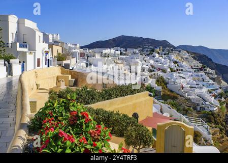 Tradizionali edifici bianchi di fronte al Mar Egeo a Oia, isola di Santorini, Grecia, Europa Foto Stock