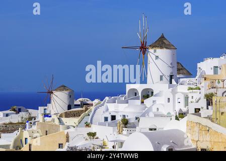 Mulino a vento e tradizionali edifici bianchi di fronte al Mar Egeo a Oia, Santorini, Grecia, Europa Foto Stock