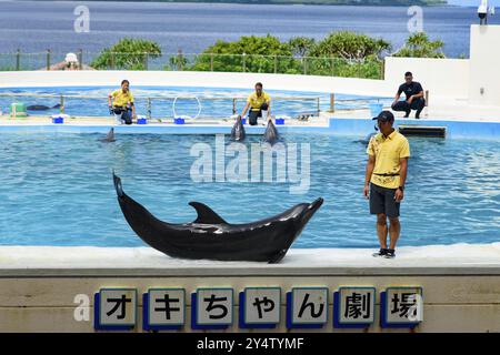 Spettacolo di delfini (teatro Okichan) nell'acquario Churaumi di Okinawa Foto Stock