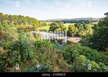 Ruskin's View da vicino alla cima dei gradini radicali vicino al cimitero di St Marys Kirkby Lonsdale Foto Stock