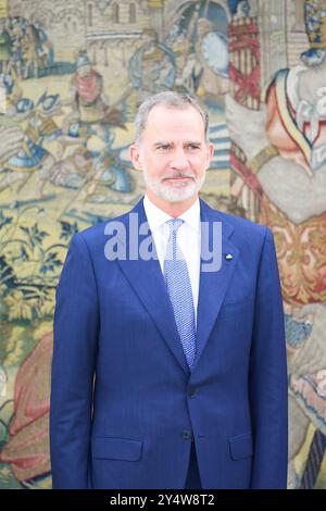 Re Felipe vi di Spagna partecipa a un'udienza con il presidente esecutivo della CAF-Development Bank of Latin America, Sergio Diaz-Granados al Palazzo Zarzuela il 29 maggio 2023 a Madrid, Spagna. Foto Stock